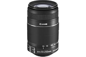 AMAZON RENEWED Canon EF-S 55-250mm f/4-5.6 IS II Lens (Renewed)