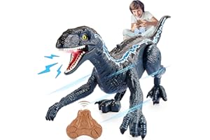 DROMLAG Playmobil Dinosaure Télécommandé - Jouet Garçon 3-12 Ans - Cadeau Enfant - Jeux Noel