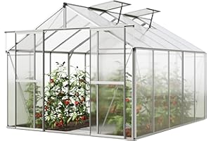 GFP Serra Orchidee 5 costruzione in alluminio 256 x 317 cm lastre di policarbonato