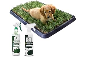 Pack 4 - S - PetZolla: Prato Vero con Vassoio 60×40 cm, Spray Neutralizzatore e Attrattivo – Cuccia per cane. Lettiera Naturale per Cani. Alternativa Ecologica a Traversine e Tappetini per Pipì