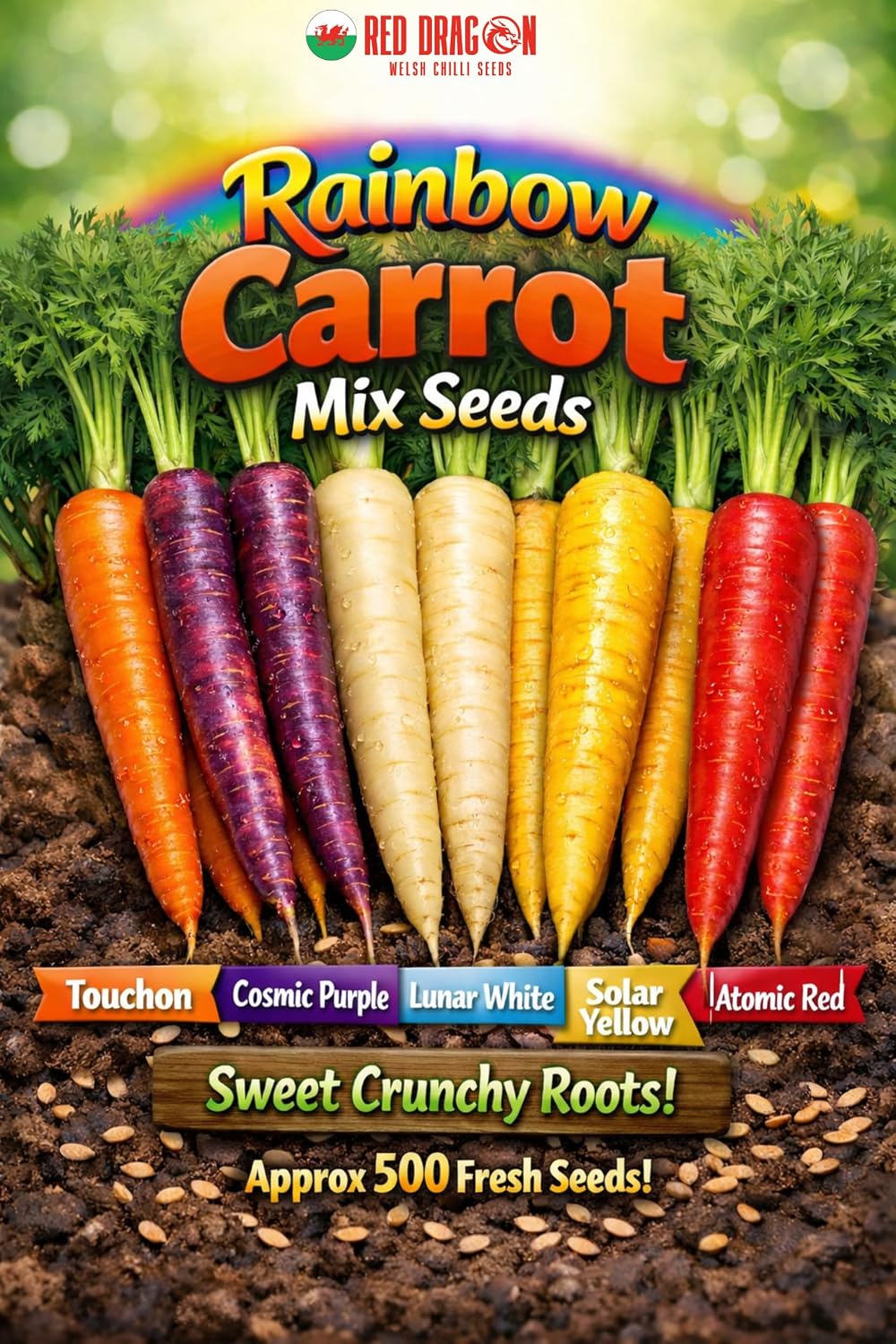 Carrot Rainbow Mix Seeds | Five Colour Carrot Varieties | Purple, White, Yellow, Red & Orange | Sweet Crunchy Roots - 500 Fresh Seeds