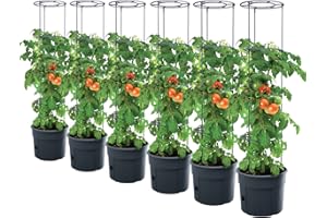 PAFEN 6 donic Tomato Grower na flance pomidorów, 295 x 1152 mm, do ogrodu, na taras