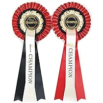 Hodges Badge Award Rosettes - 1st-6th Place & Honorable Mention Ribbons Set Of 7