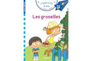 HACHETTE ÉDUCATION Sami et Julie CP Niveau 3 Les Groseilles