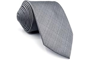 S&W SHLAX&WING Shlax&Wing Solid Color Grey Mens Neckties Ties Business Suit