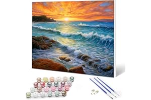 Auremi Paysage Peinture par numéros 20x30 avec cadre–Océan Peinture par numéros adulte facile–Kit cadeau créatif pour–Tableau DIY détente à peindre