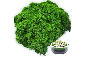 Ezitruz 300g Deko Moos Kunstmoos zum Dekorieren, Kunstmoos zum Basteln, Künstliches Dunkelgrün Fake Moos zum Basteln für Wand Krippe Pflanzen Krippe Modellbau