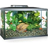 Marina 15256 &ndash; Aquarium Kit with LED Lighting 10G, 38 L, Transparent