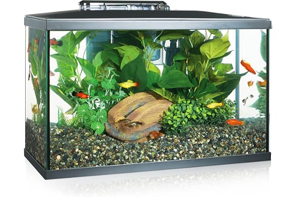 Marina Verre Kit LED pour aquarium, Poisson