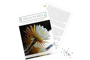 Außergewöhnliche Kakteen Samen mit hoher Keimrate - Sukkulenten Samen Set für deinen eigenen wunderschön blühenden Kaktus (1x Königin der Nacht)