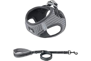 Ligo Confort - Pettorina per cani e gatti con guinzaglio. Tessuto traspirante a nido d’ape. Riflettente (M, GRIGIO SCURO)