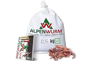 Alpenwurm 0,5KG Kompostwürmer (min. 500Stk.) Regenwürmer, Gartenwürmer