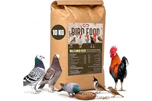 Brandsfinity 10kg Premium Bird Food for Wild Birds - Wild Dove, Wild Pigeon & Others - Green Millet, Crushed Maize, Barley, Wheat, Safflower & More for Healthy, Vibrant Birds