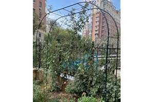 GZGLZDQ Heavy Duty Large Garden Arches Metal Strong Tubular Plant Cage For Climbing Plants Roses Vines, Garden Arch Trellis Arched Width 120cm/140cm/180cm/190cm/200cm/230cm/240cm/280cm/300cm/350cm