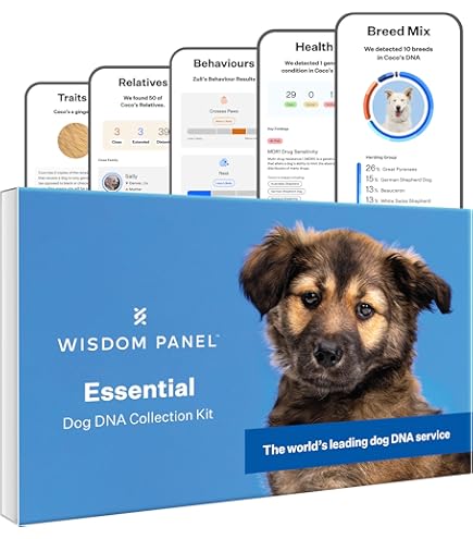 Wisdo Panel 2.0: Test De ADN Para Razas De Perro