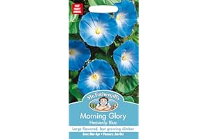 MR FOTHERGILLS Mr Fothergill's 21960 MORNING GLORY Heavenly Blue Flower Seeds