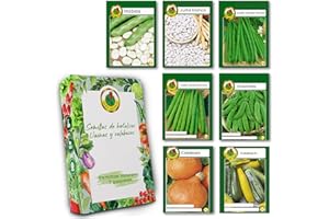 PNOS OŻARÓW MAZOWIECKI PNOS Set de semillas de hortalizas, 7 verduras, kit semillas, haba, judía blanca, judía verde (2 tipos) guisante, calabaza, zucchini, semillas ecologicas huerto para cocina, balcón y jardín, owngrown