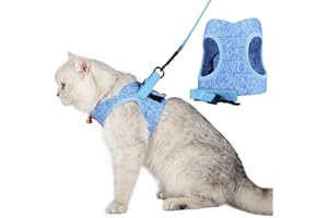 WD&CD Cat Harness and Leash Set, Escape Proof Cat Harness Adjustable Soft Cat Walking Jackets with Retractable Cat Leash For Pet Puppy, Blue Large