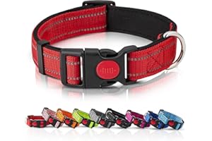 whome Dog Collar - Reflective Nylon Personalized Dog Collar with Adjustable Safety Buckle Function, For Nighttime Dog Walking Accessories, Red, (M)