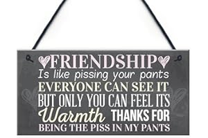 RED OCEAN Placa colgante con texto en inglés "Best Friend", regalo de amistad, gracioso, novedad, cumpleaños, Shabby Chic