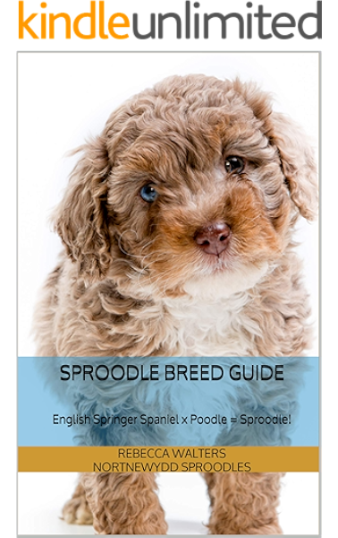 springerdoodle price