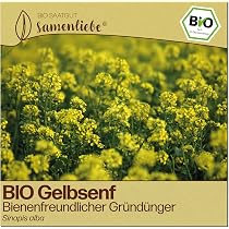Dürr Samen Spinat Samen Matador Gründüngung 1 kg kaufen bei Dürr Samen Spinat Samen Matador Gründüngung 1 kg kaufen bei