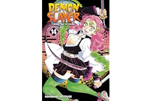 Demon Slayer: Kimetsu No Yaiba, Vol. 14: Volume 14