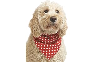 Pet Pooch Boutique Polka Dot Bandana for Dog, Small/Medium, Red