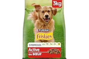 FRISKIES | Active | Chien | Croquettes pour Chiens Adultes | au Boeuf | Aide à Maintenir Un Niveau d'énergie élevé | Sac | 3 KG