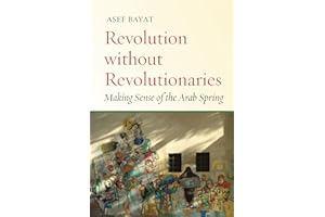 Revolution Without Revolutionaries: Making Sense of the Arab Spring (Stanford Studies in Middle Eastern and Islamic Societies and Cultures)