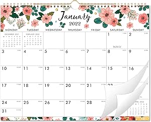 Calendrier 365 Juin 2023 Marque Amazon - Eono Calendrier Mural 2022-2023 - Agenda Calendrier À  Suspendre De 18 Mois De Janvier 2022 À Juin 2023, 15 "X 11,5" : Amazon.fr:  Fournitures De Bureau