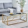 AINPECCA Frame Coffee Table Stainless Steel with Dark Grey Tempered Glass Design Living Room (Gold)
