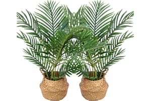 Kazeila Piante Finte da Interno Alta 60cm Palma Artificiale Grandi Pianta Finta Decorazioni Interno Camera da Letto Aesthetic Room Decor(2Pack)