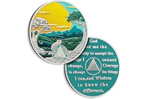 ATSKNSK 2 Years Sobriety Coin Sun Chips Alcoholics Anonymous Medallion AA Chips and Medallion Sobriety Gifts for Men Women Anniversary Token Recovery Gift Forest Tree Coin