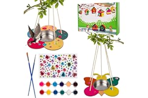 HYWEAN HOMD 2 pièces Mangeoire Oiseaux Bricolage d'Artisanat pour Enfants, Kit Peindre Artisanat en Bois, Peindre Jouets Cadeau pour Enfants Garçons et Filles 4 5 6 7 8 9+ Ans