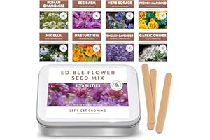 THE LITTLE TREES BEES & SEEDS COMPANY Gourmet Edible Flower Seed Kit - 8 Varieties of Flower - Bee Balm, Blue Borage, Chamomile, French Marigold, Garlic Chives, Lavender, Nasturtium Nigella - Durable - Vibrant Colour Flavour