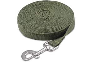 Fttouuy Longe pour Chien 5m /10m / 15m / 20m, Laisse de Dressage Longue pour Chiens, Idéal pour la randonnée, Le Camping, l'entraînement, la Plage - 10M Vert