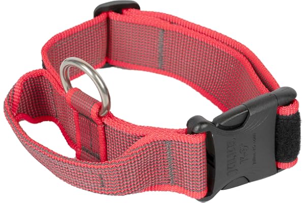JULIUS K-9, Collier Color & Gray avec Poignée, Fermeture De Sécurité Et Logo, 40 Mm (38-53 Cm), Rouge-Gris