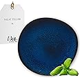 Villeroy & Boch Lave Bleu Salad Plate, 9.25x1 in, Stoneware, Blue