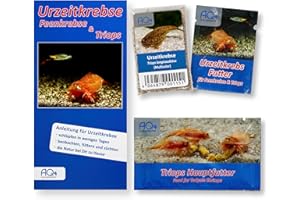 AQ4Aquaristik Triops longicaudatus (Multicolor)- Starter Set Zuchtansatz Urzeitkrebs Eier ca. 100 St.- mit Futter und Anleitung,