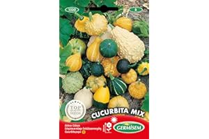 Germisem Cucurbita Mix Semi di Zucca 2 g