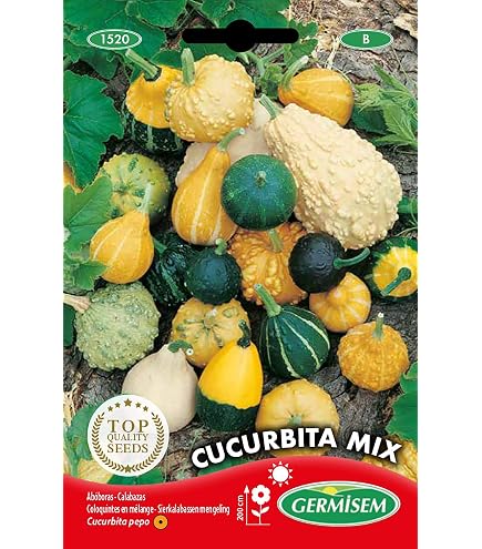 Semillas De Cicuta Maculata (Cicuta Acqua), Paquete De 200 Unidades, Fácil De Cultivar En Distintos Suelos
