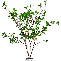 4 Steli Di Ficus Artificiali Per Decorazione - Rami Finti Alti 72 Cm Per Un Tocco Di Verde Senza Manutenzione - 4