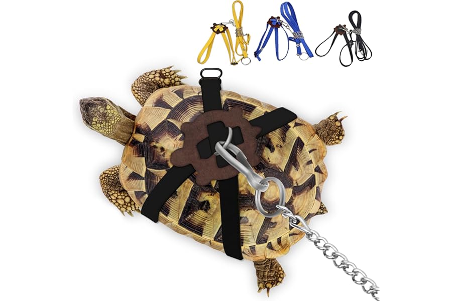 CQJ Pet Turtle Leather Harness Small and Harness Pet Leash Suitable for Tortoise Supplies Adjustable Control Leash (M,Black)