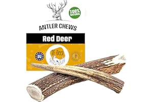 RF - DEER Poroże jelenia, naturalna przekąska dla psów, zdrowa zabawka dla psów, kość do żucia i pielęgnacji zębów, twarda, rozmiar S, 31-50 g, 8-10 cm