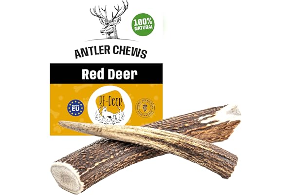 RF-Deer Bois de Cerf élaphe M Hard 1 pièce - 100% Naturel Bâtonnets Jouets à mâcher naturels pour Chien, Mâcher des os pour Le Plaisir et Les Soins dentaires, favorisant l'hygiène Dentaire