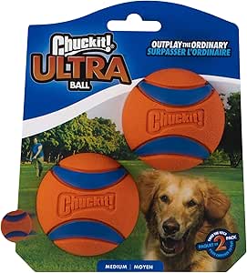 orange dog ball