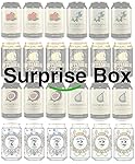 lukky24 Cider Surprise Box + lukky24&reg; Schl&uuml;sselanh&auml;nger mit Einkaufswagenchip - 24x0,33l
