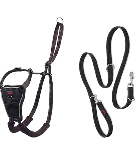 Imbracatura Regolabile ROGZ Per Cani Taglia L - Riflettente E Comoda - Foto 8