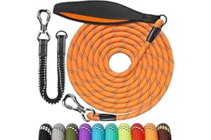 Aystkniet Longe pour Chien avec Cordon Elastique, Deux Façons D'utiliser, 3M 5M 10M 15M 20M 30M Laisse de Dressage pour Chien avec Crochet de Verrouillage pour Petits, Moyens et Grands Chiens